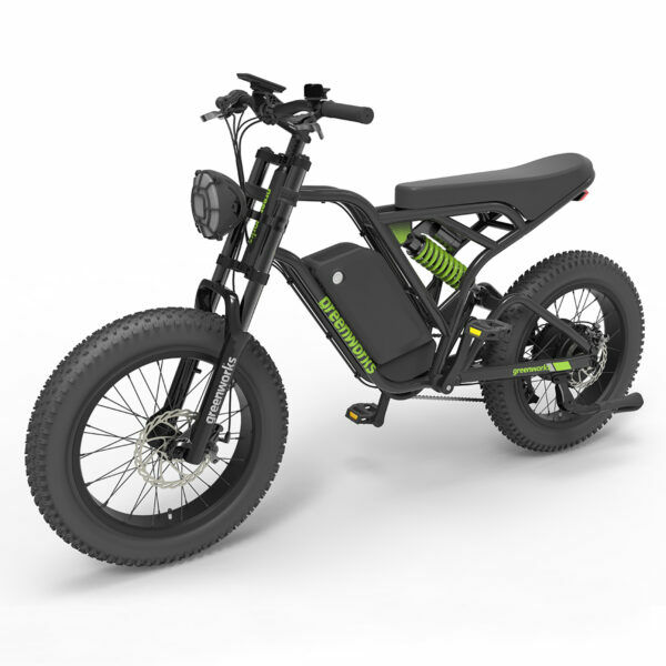 20" All Terrain E-Bike