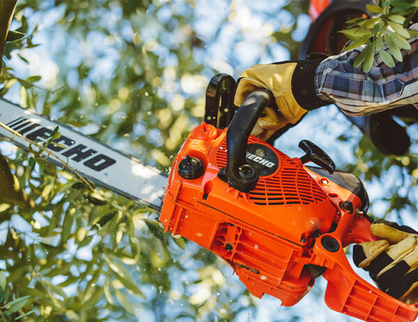Chain Saw CS-281WES