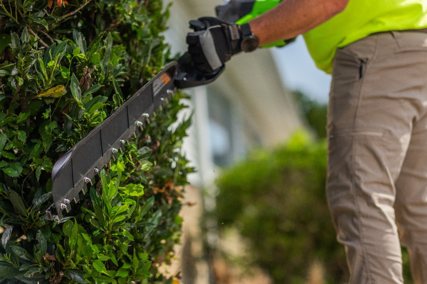 Best Commercial Hedge Trimmers in New Zealand